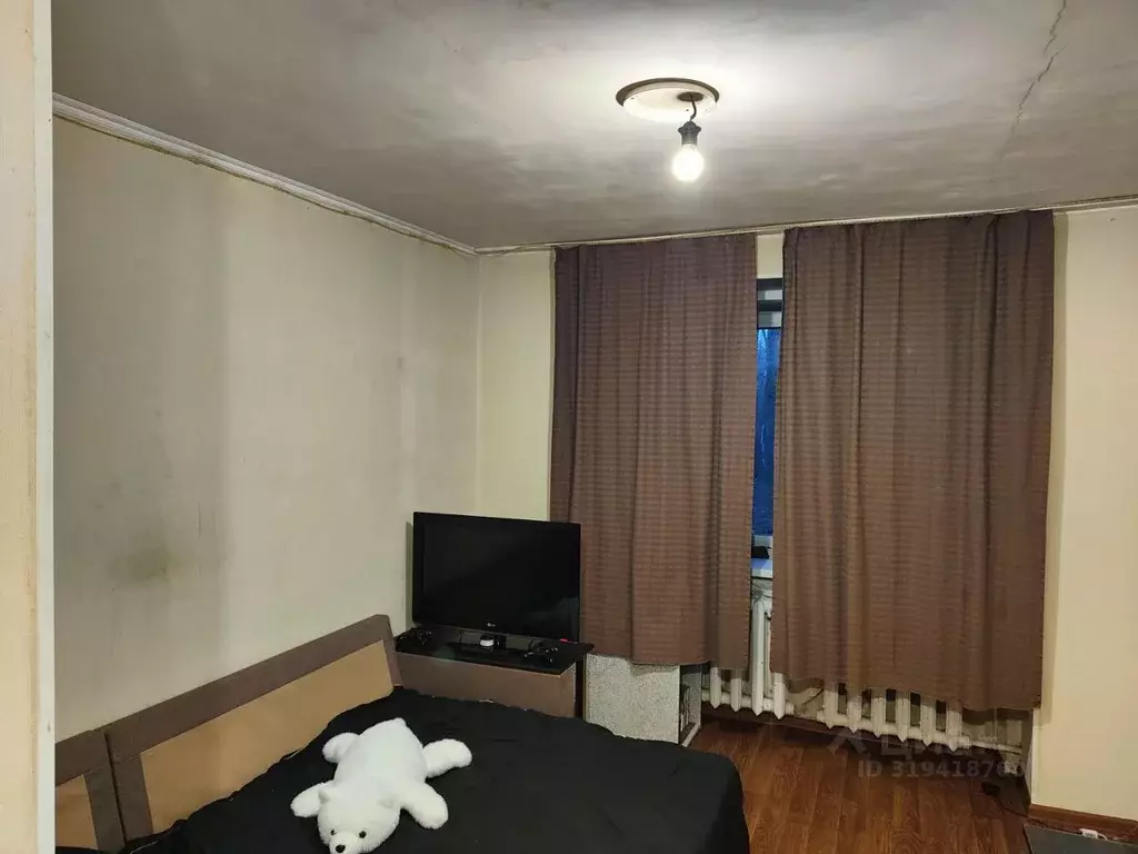 Студия Красноярский край, Красноярск ул. Курчатова, 6 (17.0 м) - Фото 1