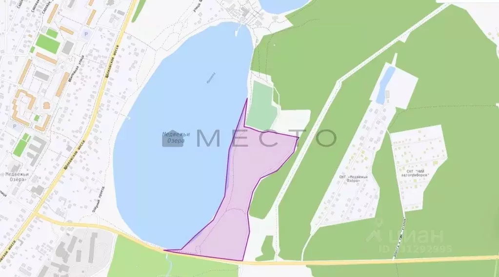 Участок в Московская область, Щелково городской округ, д. Медвежьи ... - Фото 1