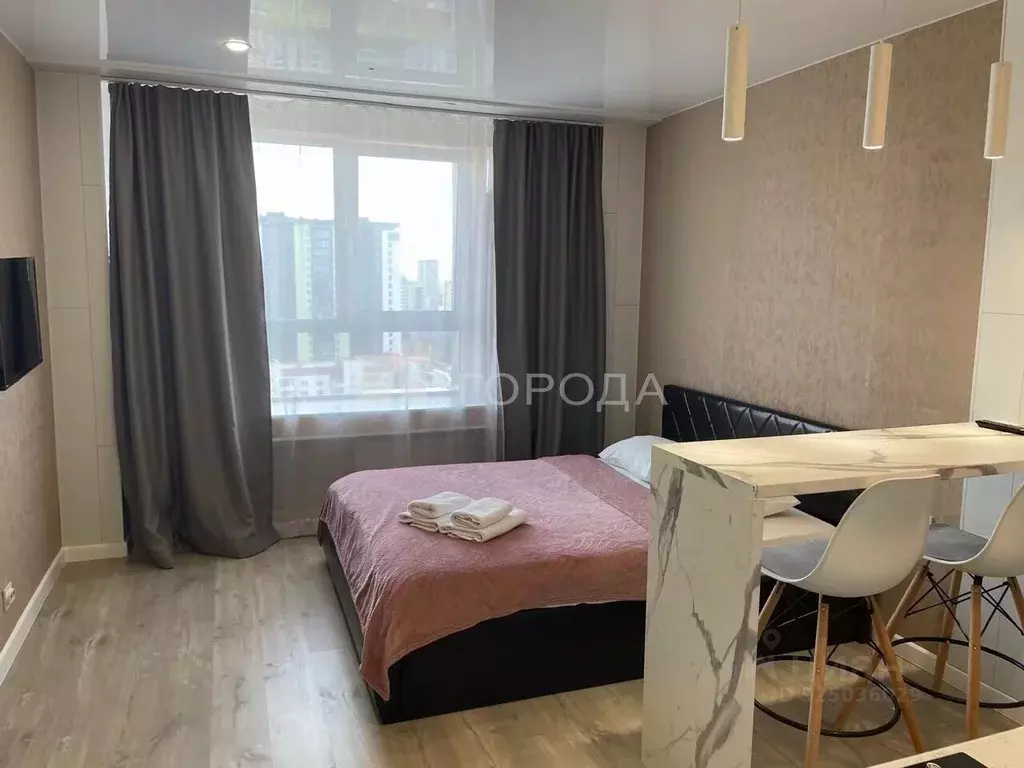 Студия Новосибирская область, Новосибирск Железнодорожная ул., 15/1 ... - Фото 1