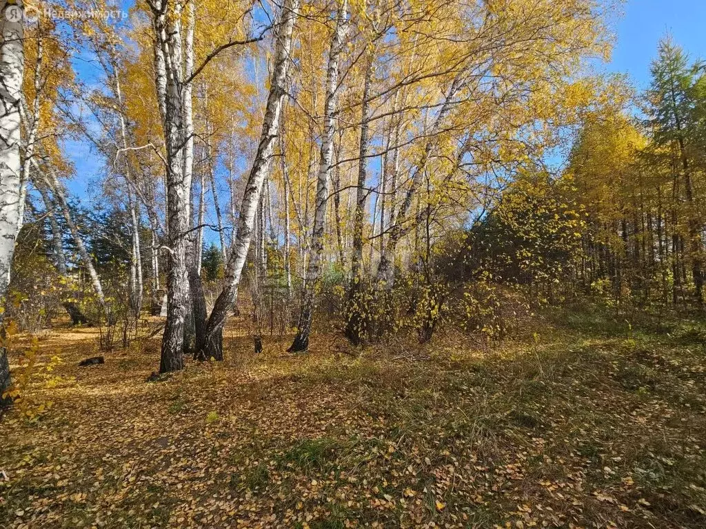 Участок в Бердск, микрорайон Раздольный (9.7 м) - Фото 1