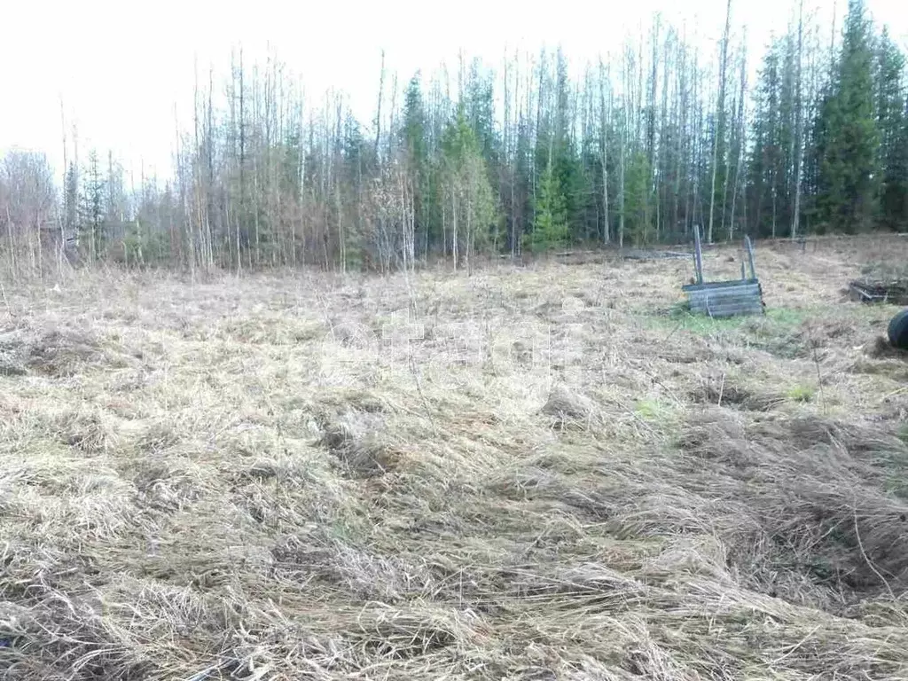 Участок в Свердловская область, Горноуральский городской округ, № 16 ... - Фото 0