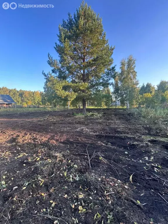 Участок в Барнаул, Декоративная улица (8.37 м) - Фото 2