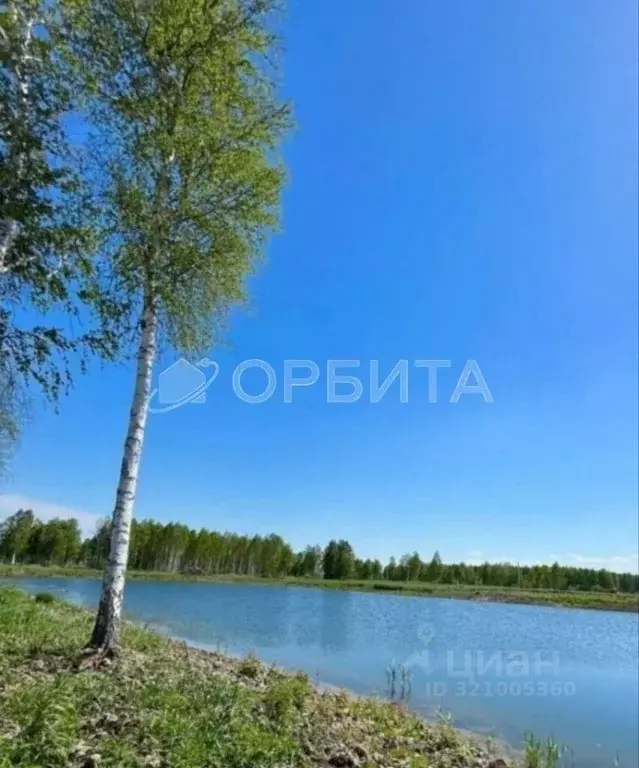 Участок в Тюменская область, Тюменский район Салаирский тракт, 14-й км ... - Фото 0