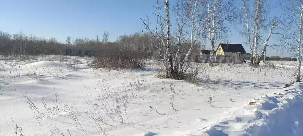Участок в Курганская область, Кетовский муниципальный округ, с. Новая ... - Фото 2