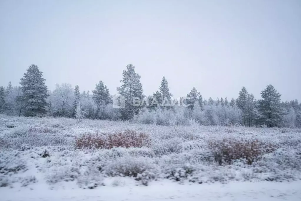 Участок в Бурятия, Тарбагатайский район, Саянтуйское с/пос, с. Нижний ... - Фото 1