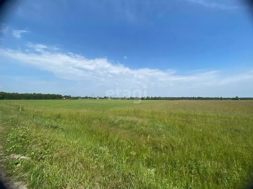 Участок в Ярославская область, Ярославский муниципальный округ, с. ... - Фото 1