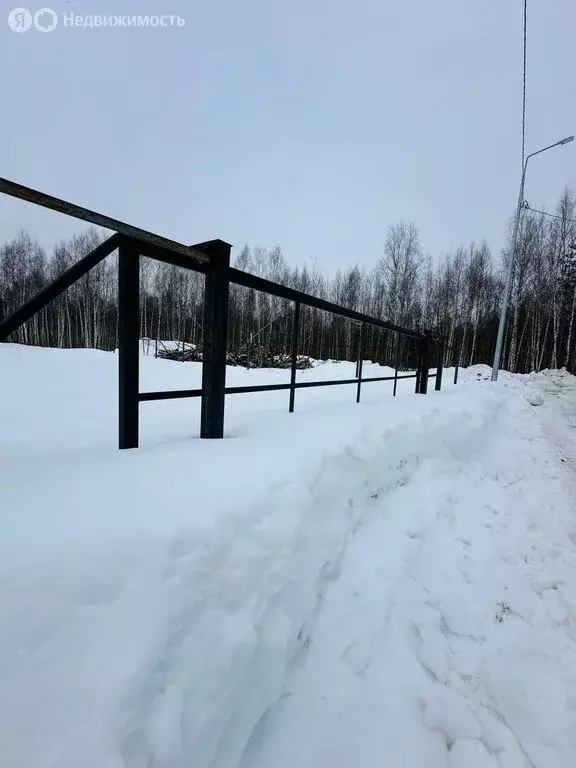 Участок в посёлок Шатурторф, Берёзовая аллея (15 м) - Фото 1