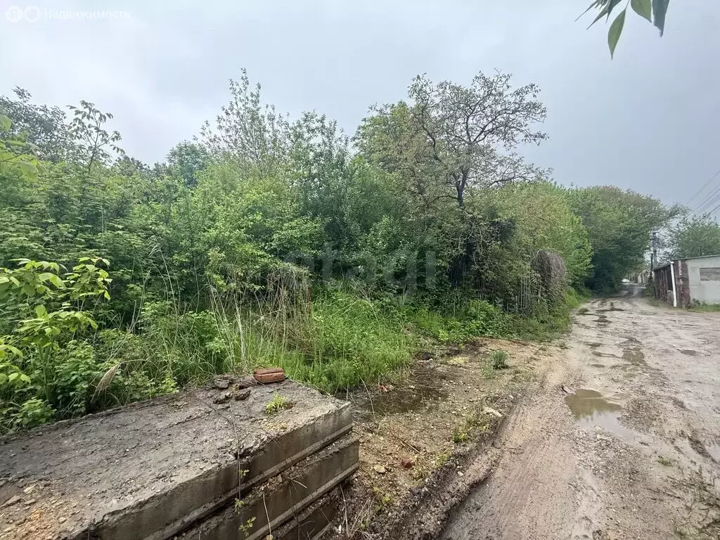 Участок в Ставрополь, садовое товарищество Арония (4.36 м) - Фото 2