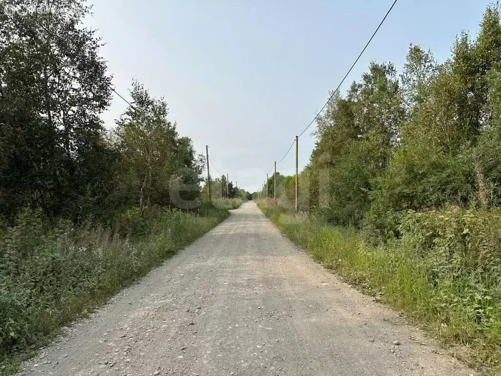 Участок в Камчатский край, Елизовский муниципальный округ, ... - Фото 1