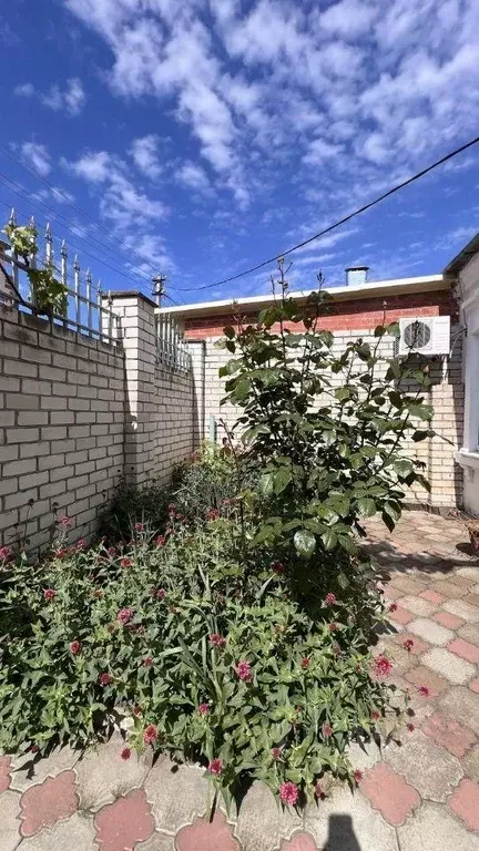 Квартира, 2 комнаты, 23 м - Фото 1