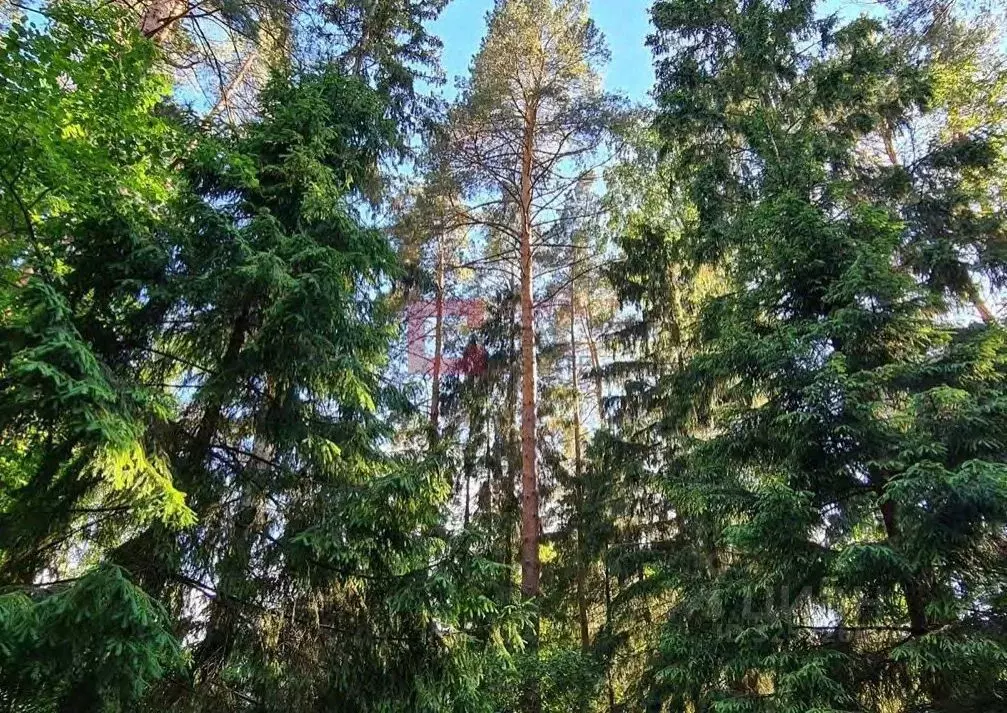 Участок в Московская область, Одинцовский городской округ, пос. Дома ... - Фото 2
