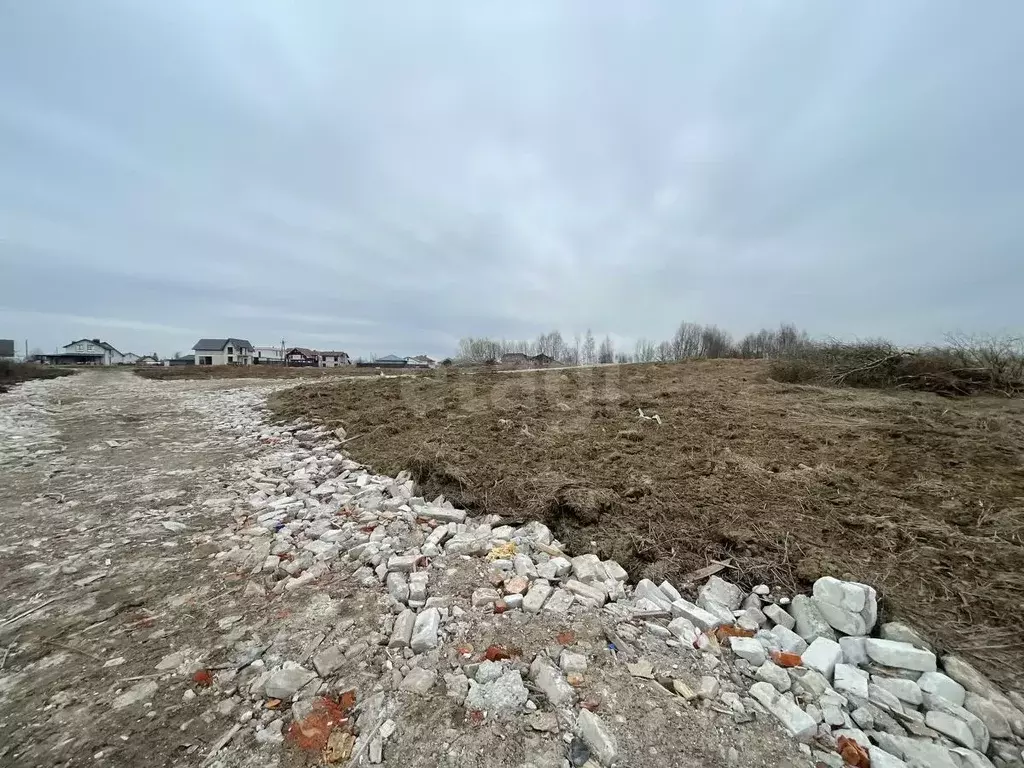 Участок в Калининградская область, Гурьевский муниципальный округ, ... - Фото 2