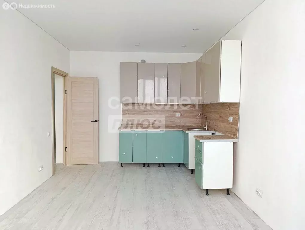 1-комнатная квартира: деревня Анкудиновка, Черкесская улица (38.2 м) - Фото 1