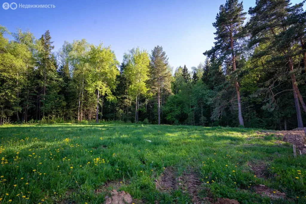 Участок в Химки, КП Сходня форест парк (6.53 м) - Фото 1