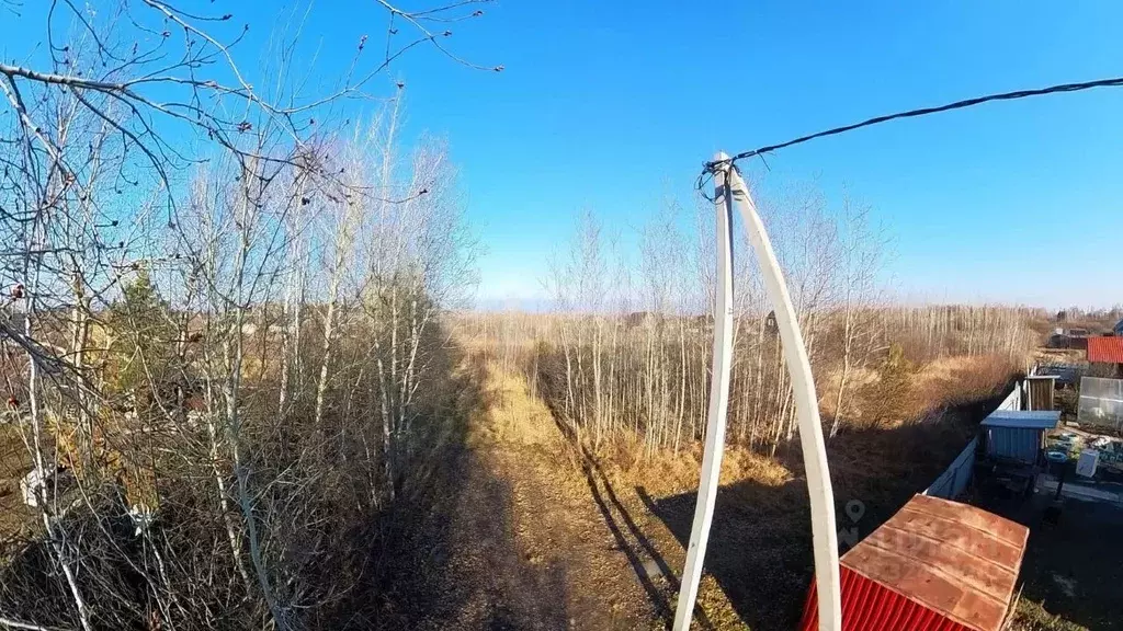 Участок в Тюменская область, Тюмень Садовое товарищество Липовый ... - Фото 1