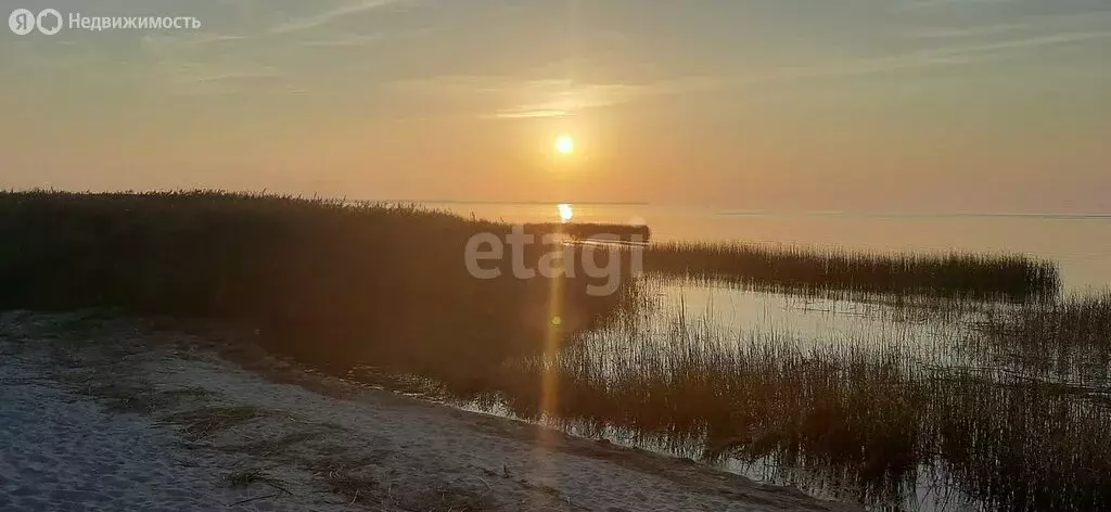Участок в Калининградская область, Ладушкин (18.5 м) - Фото 1