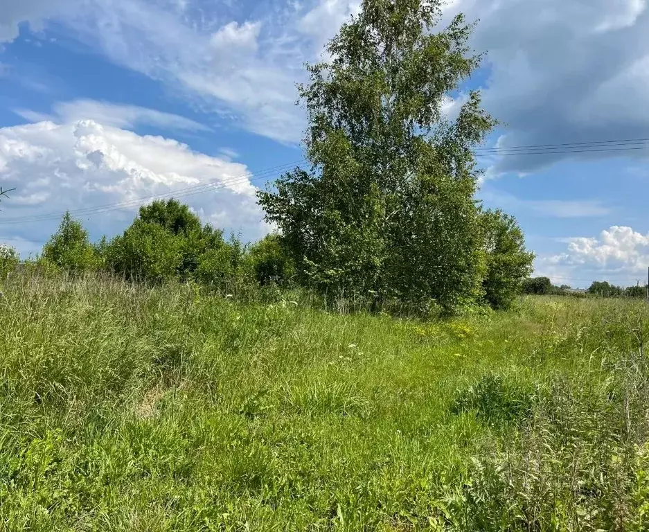 Участок в Калужская область, Калуга городской округ, д. Животинки  ... - Фото 0