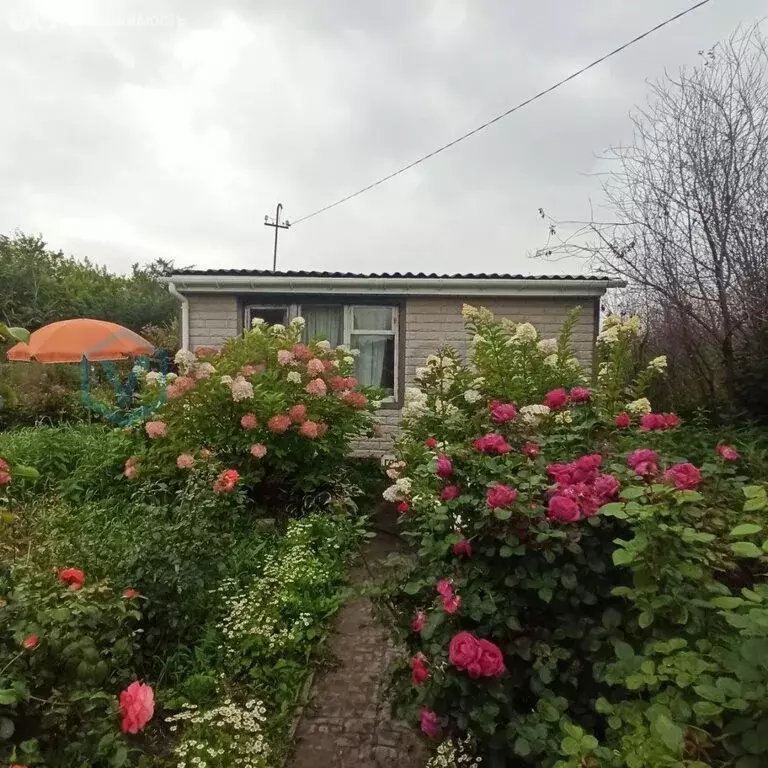 Дом в Омск, территория СОСН Сибирский Садовод-1 (24 м) - Фото 2