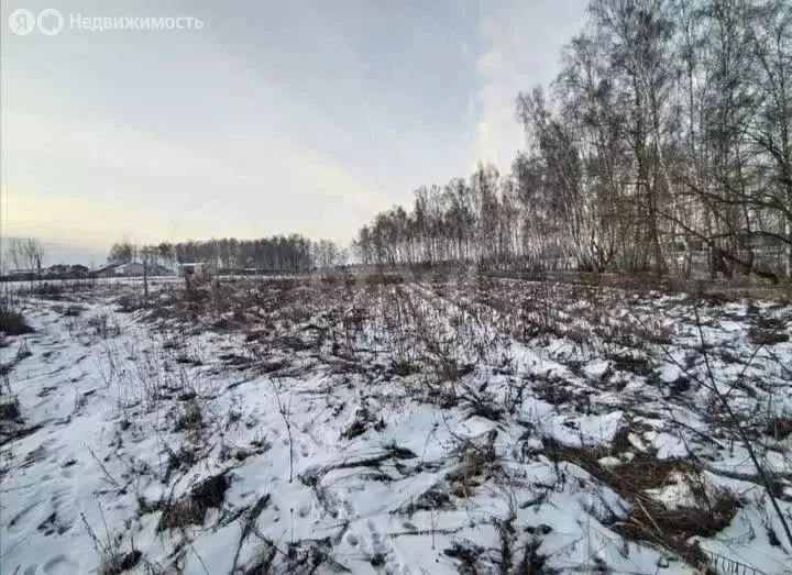 Участок в Калужская область, Бабынинский муниципальный округ, ... - Фото 1