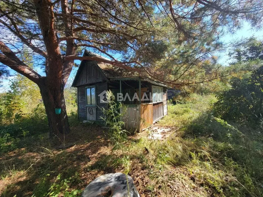 Участок в Еврейская автономная область, Смидовичский район, Каравай ... - Фото 1