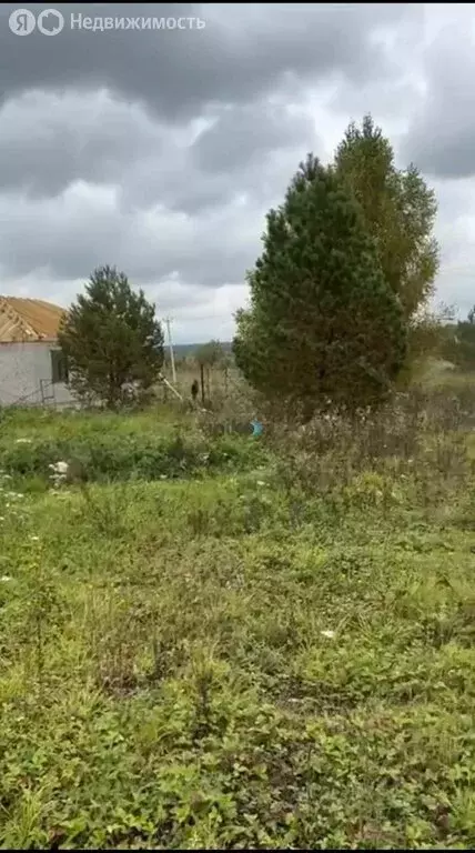 Участок в деревня Подымалово, Молодёжная улица (8 м) - Фото 0