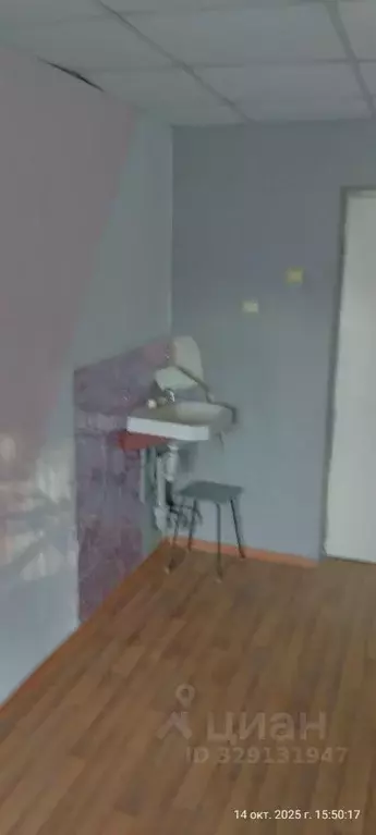 Помещение свободного назначения в Амурская область, Райчихинск ул. ... - Фото 1