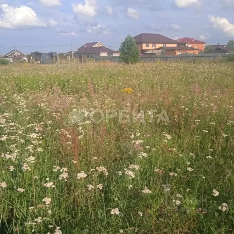 Участок в Тюменская область, Тюменский муниципальный округ, с. Чикча ... - Фото 2