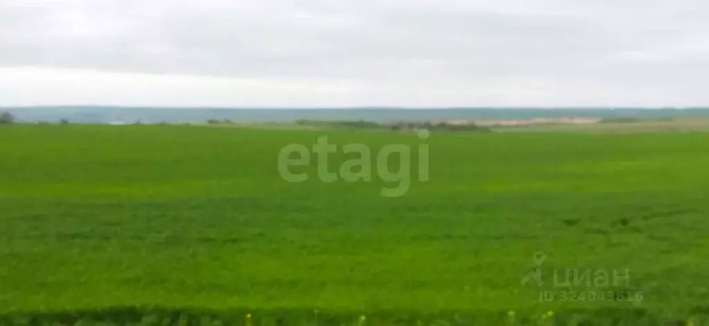 Участок в Крым, Ленинский район, Семисотское с/пос, с. Каменское ул. ... - Фото 1