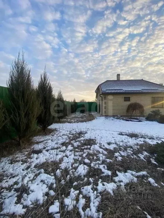 Участок в Ростовская область, Неклиновский район, с. Николаевка ... - Фото 1