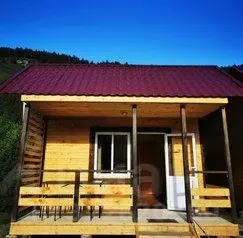 Дом в Алтай, Чемальский район, Элекмонарское с/пос, с. Элекмонар ул. ... - Фото 1