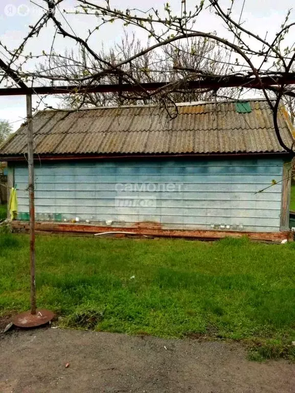 Дом в станица Новощербиновская, улица Пушкина (35 м) - Фото 2