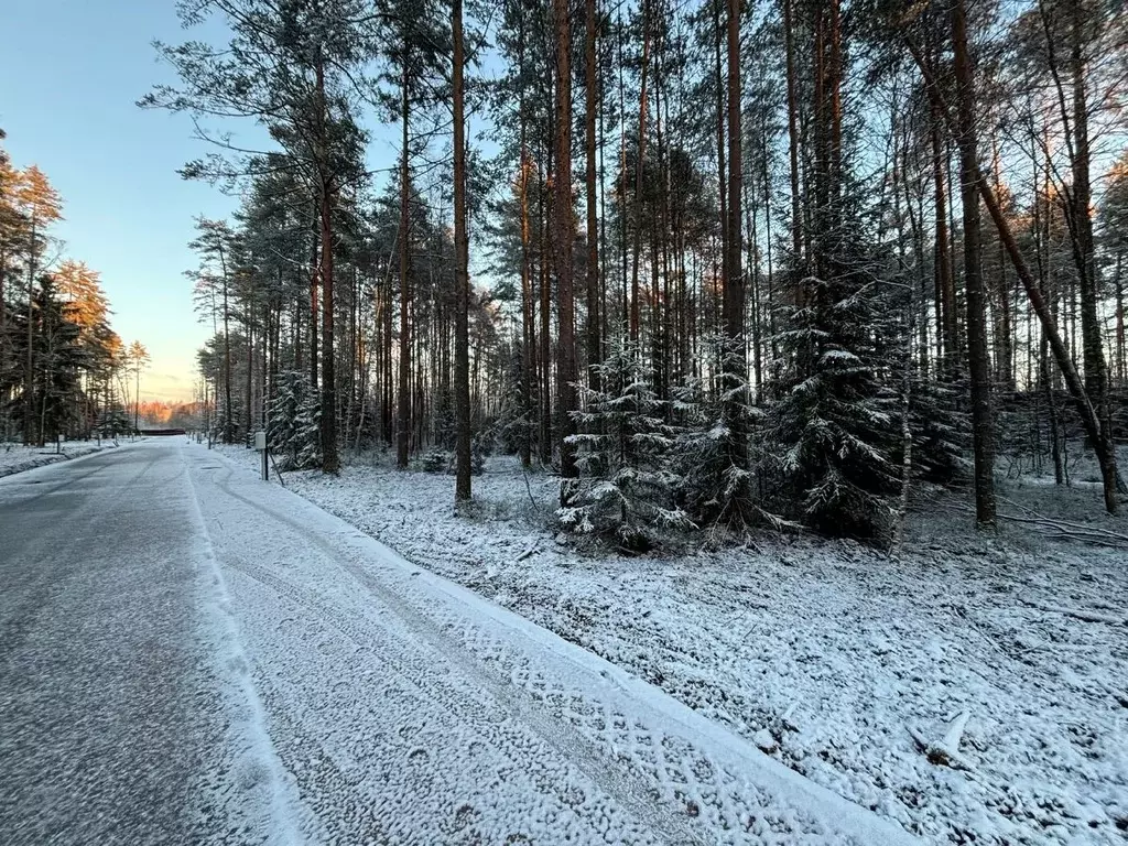 Участок в Ленинградская область, Всеволожский район, Бугровское ... - Фото 1