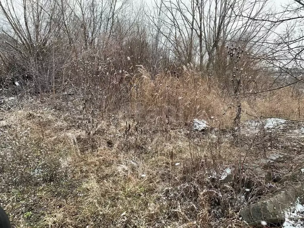 Участок в Белгородская область, Белгород ул. Дружбы (15.0 сот.) - Фото 2