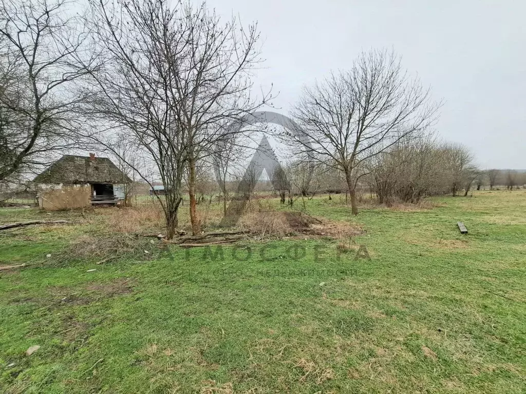 Участок в Краснодарский край, Апшеронский район, Новополянское с/пос, ... - Фото 1