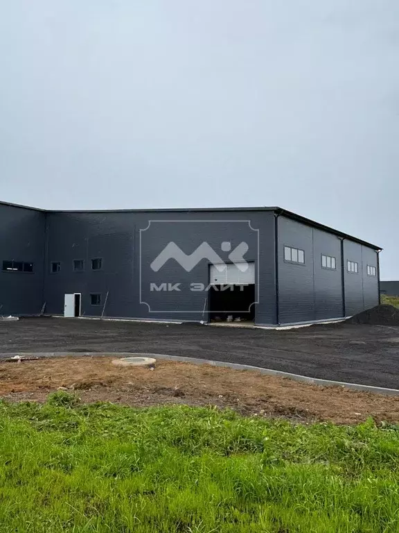 Производственное помещение в Санкт-Петербург пос. Шушары, Колпинское ... - Фото 1