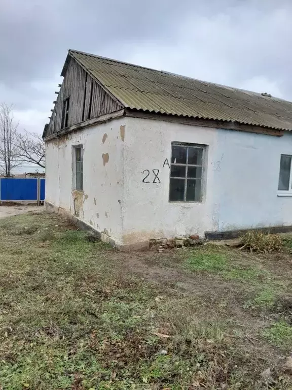 Помещение свободного назначения в Краснодарский край, Темрюкский ... - Фото 1