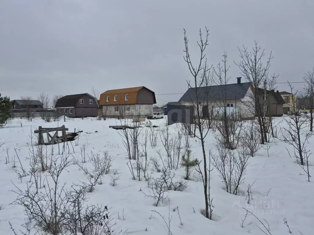 Участок в Воронежская область, Борисоглебск ул. Придорожная, 17 (6.43 ... - Фото 2