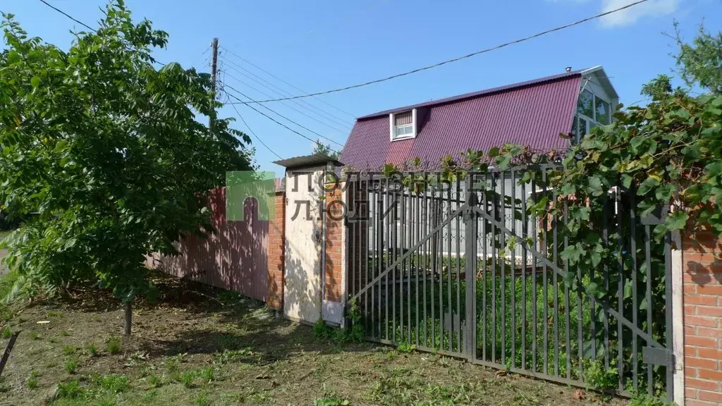 Дом в Еврейская автономная область, Смидовичский район, с. Осиновка ... - Фото 1