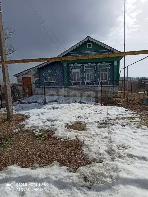 Дом в Нижегородская область, Починковский муниципальный округ, с. ... - Фото 0