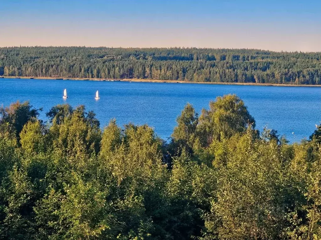 Участок в Ленинградская область, Приозерский район, Громовское с/пос  ... - Фото 2