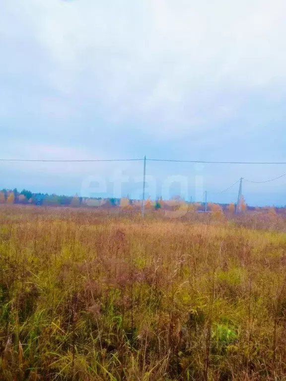 Участок в Ярославская область, Ярославский муниципальный округ, д. ... - Фото 1