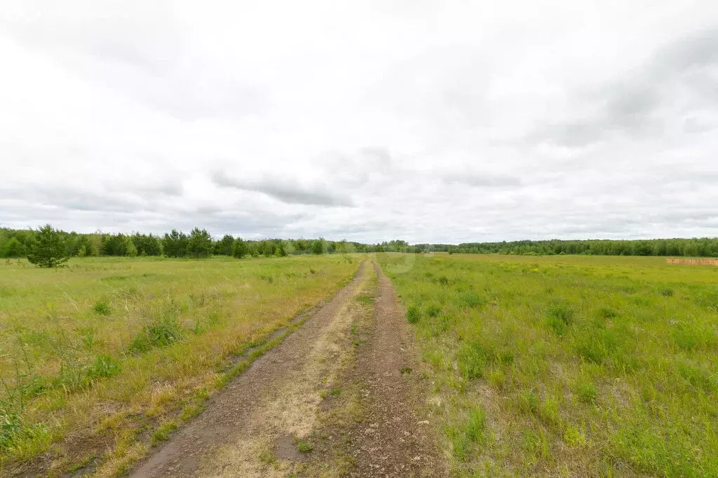 Участок в Тюменский район, деревня Речкина (10 м) - Фото 1