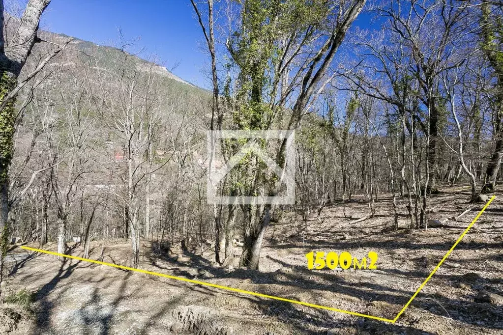 Участок в Крым, Ялта муниципальный округ, Виноградное пгт ул. Красина ... - Фото 1