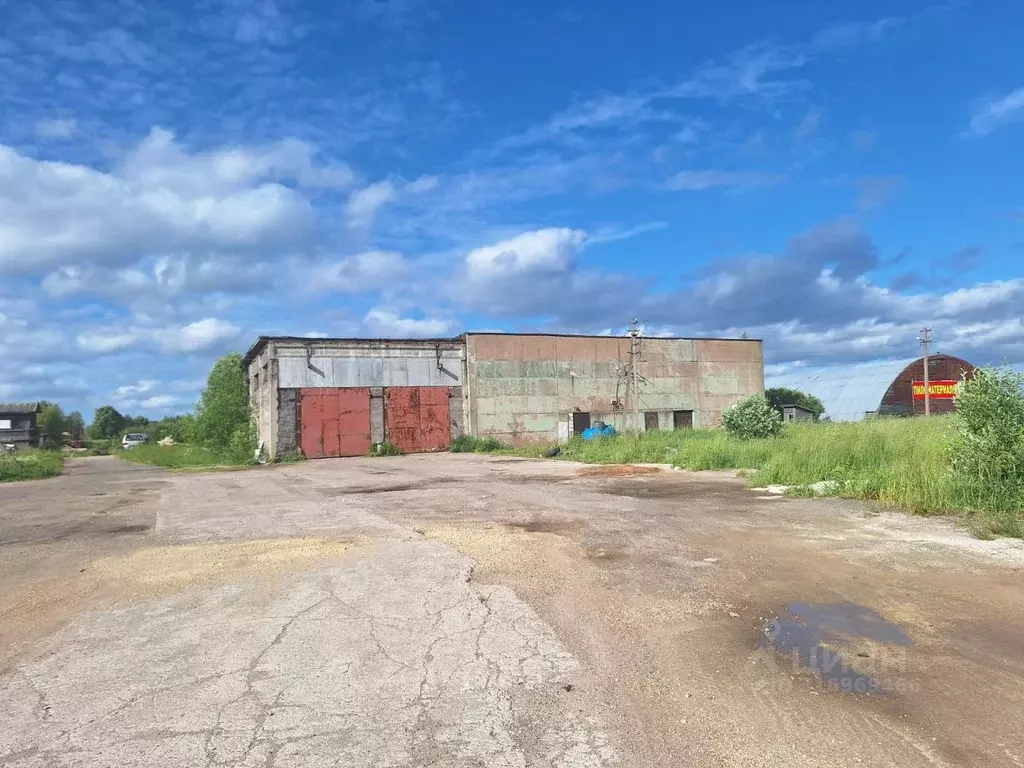 Склад в Ленинградская область, Гатчинский район, д. Выра Большой ... - Фото 0