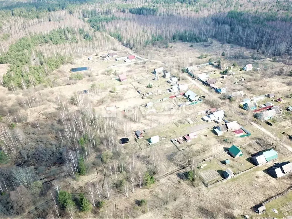 Участок в Владимирская область, Судогодский район, Лавровское ... - Фото 1