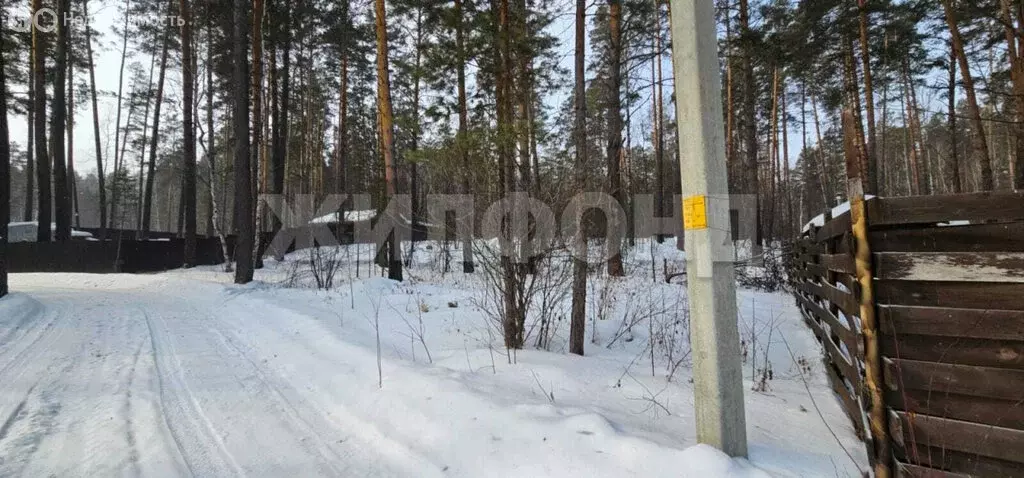 Участок в Кубовинский сельсовет, поселок Ломовская Дача (12 м) - Фото 0