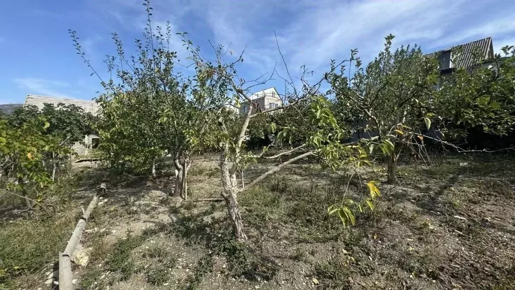 Участок в Краснодарский край, Геленджик городской округ, Дружба СТ ул. ... - Фото 1