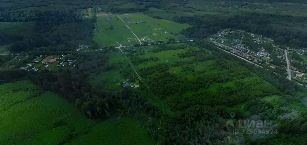 Участок в Московская область, Клин городской округ, Совино кп  (11.28 ... - Фото 1