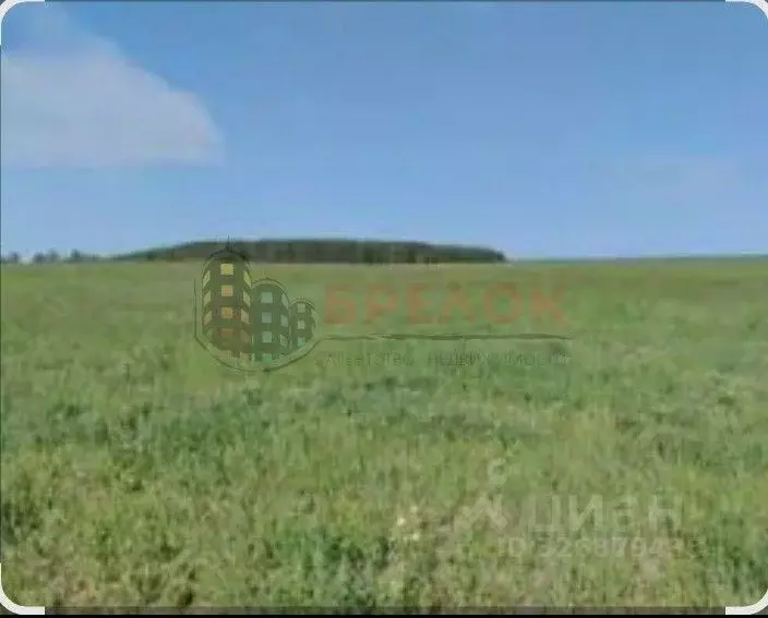 Участок в Ростовская область, Мясниковский район, с. Большие Салы ул. ... - Фото 2