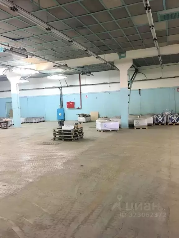 Помещение свободного назначения в Курганская область, Курган ... - Фото 1